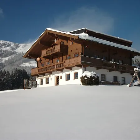 Apartment Bauernhof Thurnummerstall Hollersbach im Pinzgau Exterior photo