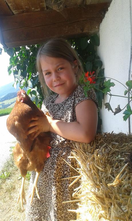 Farm stay Bauernhof Thurnummerstall *