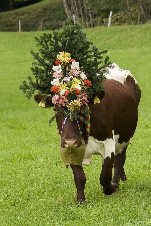 Farm stay Bauernhof Thurnummerstall *