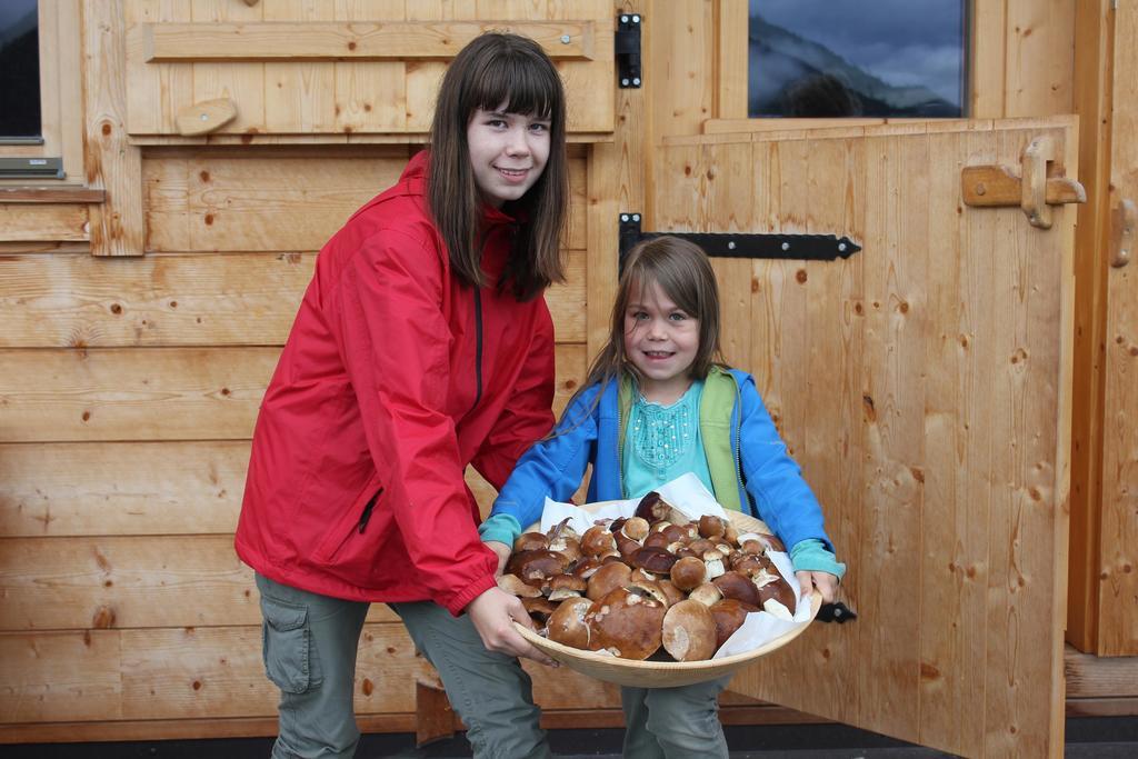 Farma Bauernhof Thurnummerstall Hollersbach im Pinzgau