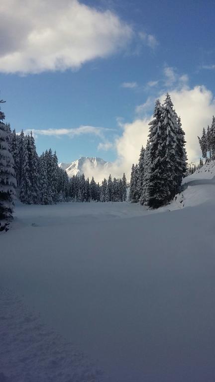Bauernhof Thurnummerstall Farm stay Hollersbach im Pinzgau