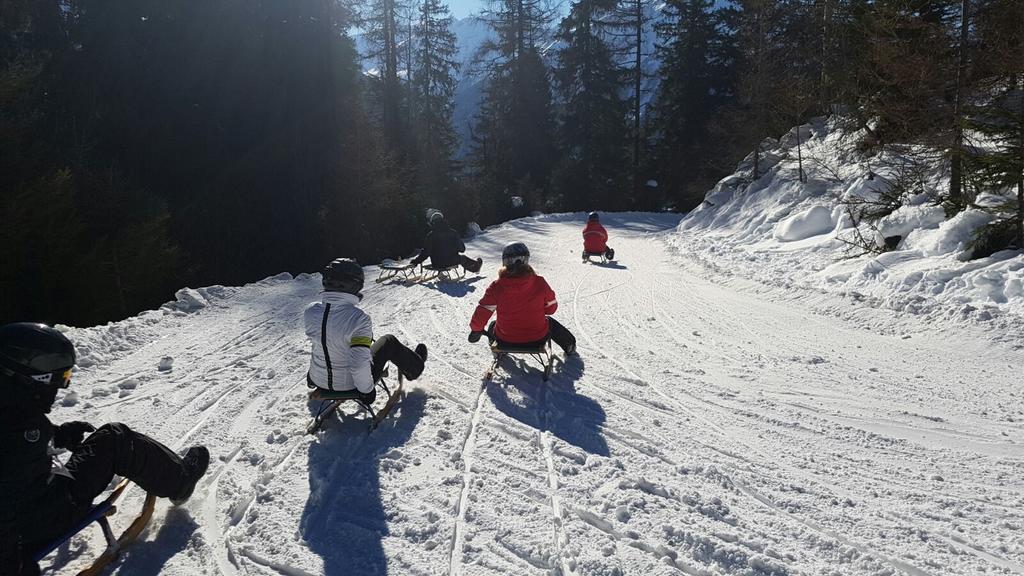 Bauernhof Thurnummerstall Farm stay Hollersbach im Pinzgau