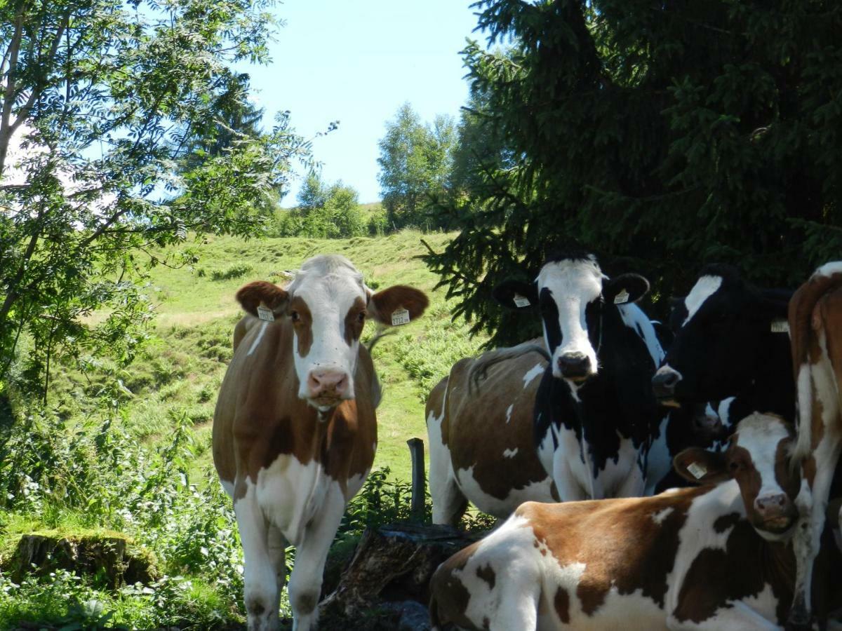 Bauernhof Thurnummerstall *