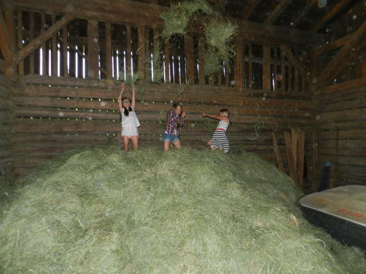 Bauernhof Thurnummerstall Farma Hollersbach im Pinzgau