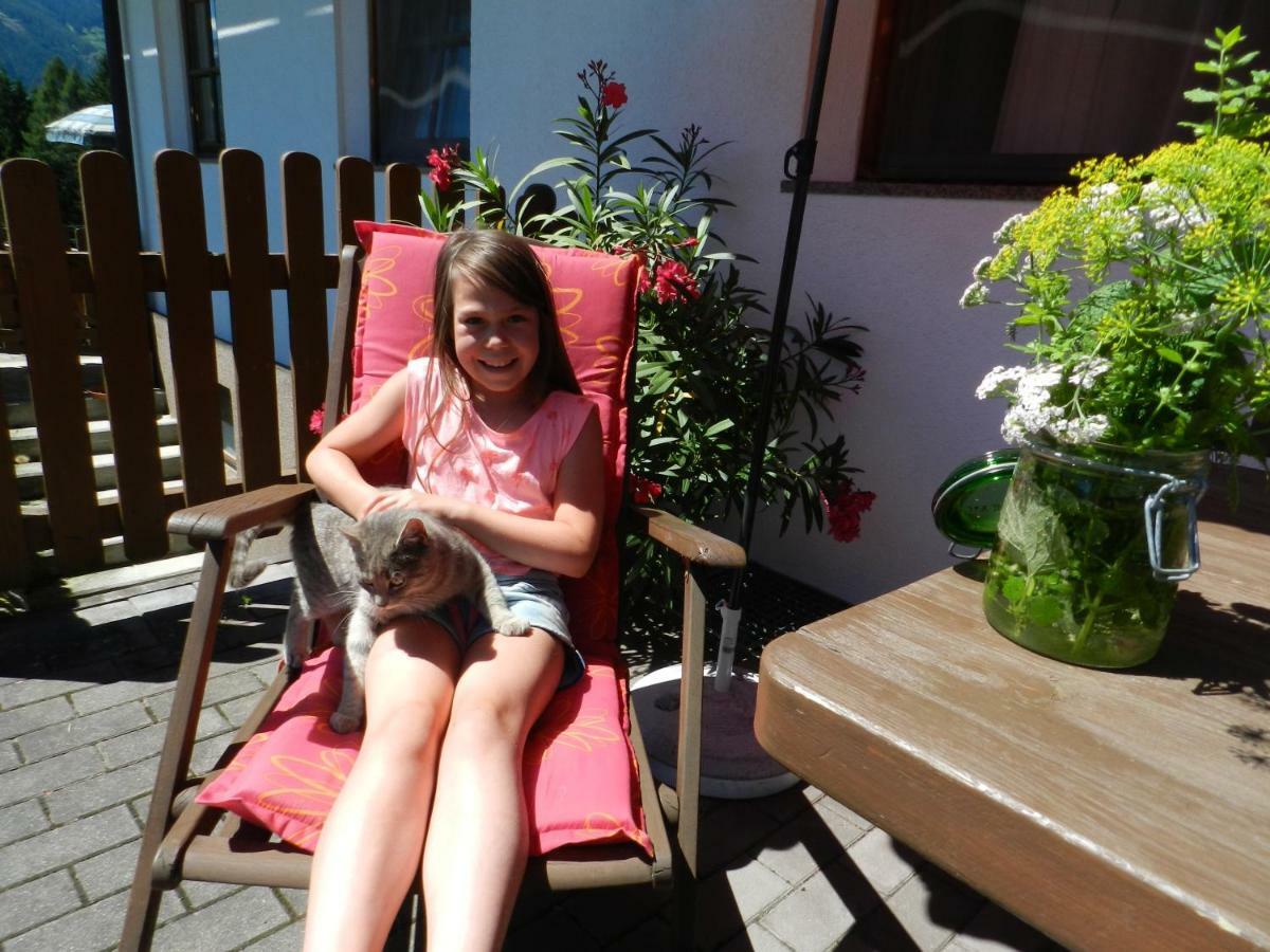 Bauernhof Thurnummerstall * Hollersbach im Pinzgau
