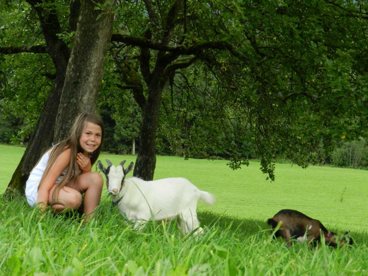 Farm stay Bauernhof Thurnummerstall